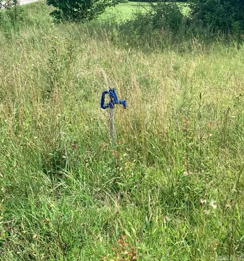 122 Ruby Rd, Ward, AR 72176 photo 4