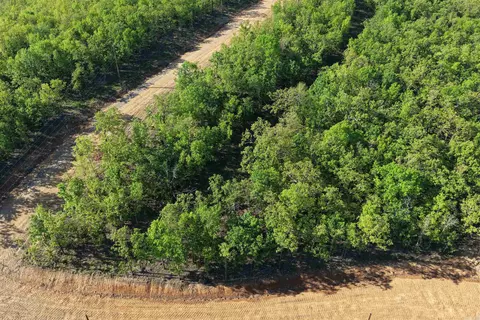 5 Cherokee Cv, Conway, AR 72023 photo 11