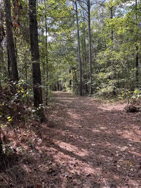 000 Avalon Rd, Star City, AR 71667