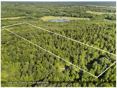 256 Rambo Loop, Searcy, AR 72143 photo 6