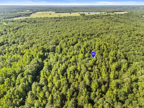 256 Rambo Loop, Searcy, AR 72143 photo 12