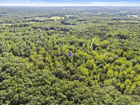 256 Rambo Loop, Searcy, AR 72143 photo 6