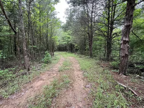 256 Rambo Loop, Searcy, AR 72143 photo 3