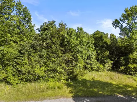 256 Rambo Loop, Searcy, AR 72143 photo 10