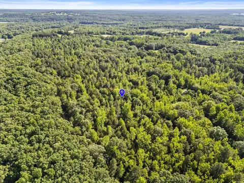 256 Rambo Loop, Searcy, AR 72143 photo 9