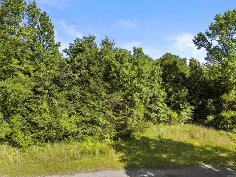 256 Rambo Loop, Searcy, AR 72143 photo 14