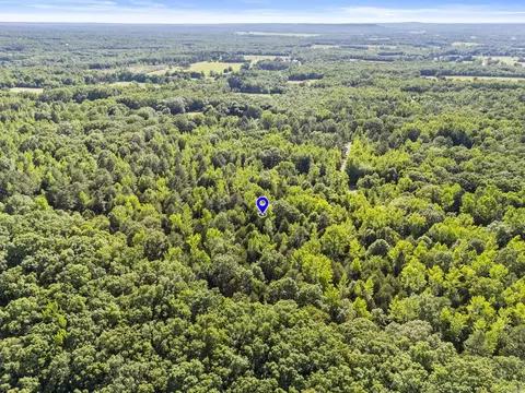 256 Rambo Loop, Searcy, AR 72143 photo 10