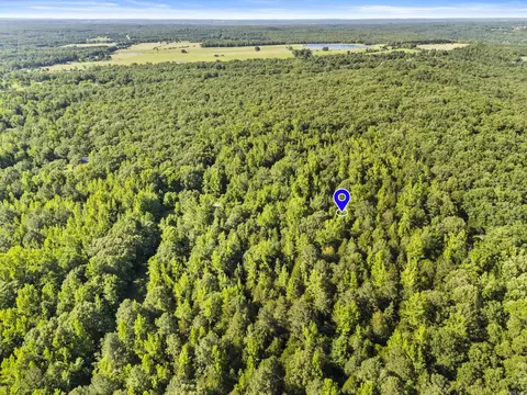 256 Rambo Loop, Searcy, AR 72143 photo 8