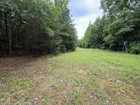 256 Rambo Loop, Searcy, AR 72143 photo 8