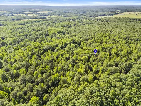 256 Rambo Loop, Searcy, AR 72143 photo 11