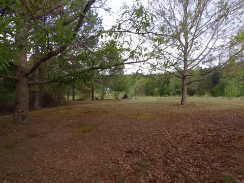 1807 Fendley Rd, Amity, AR 71921 photo 7