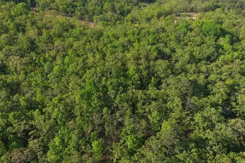 6 Sierra Sunset Cv, Conway, AR 72023 photo 8