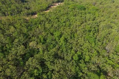 6 Sierra Sunset Cv, Conway, AR 72023 photo 9