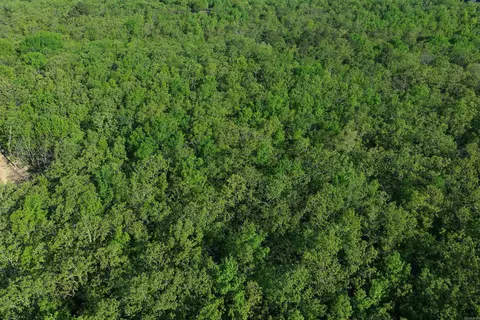 6 Sierra Sunset Cv, Conway, AR 72023 photo 11