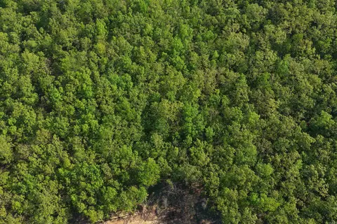 6 Sierra Sunset Cv, Conway, AR 72023 photo 13