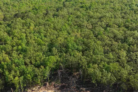 6 Sierra Sunset Cv, Conway, AR 72023 photo 6