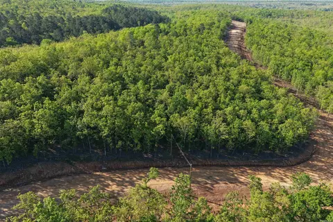 43 Sierra Sunset Cv, Conway, AR 72023 photo 6