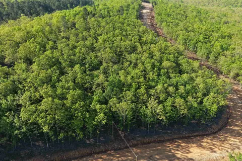 43 Sierra Sunset Cv, Conway, AR 72023 photo 7