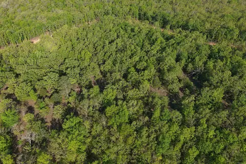 43 Sierra Sunset Cv, Conway, AR 72023 photo 9