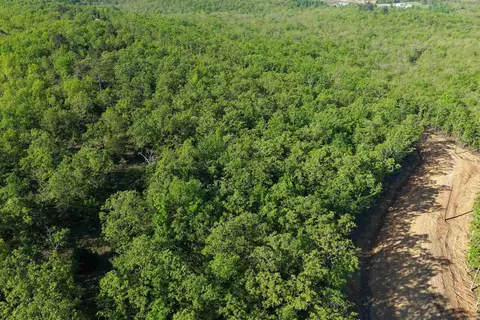 43 Sierra Sunset Cv, Conway, AR 72023 photo 8