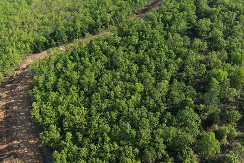 43 Sierra Sunset Cv, Conway, AR 72023 photo 10