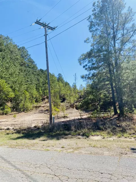 12 91 083 Acres Bradley Ferry Rd, Camden, AR 71701