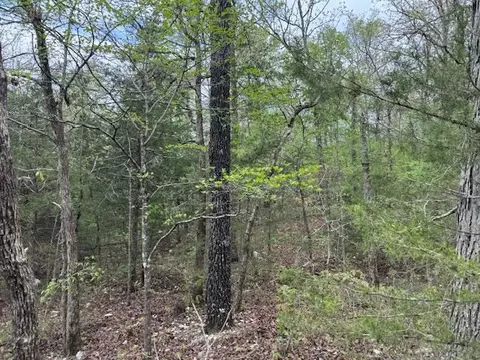 tbd Wirth Rd, Mammoth Spring, AR 72554 photo 15
