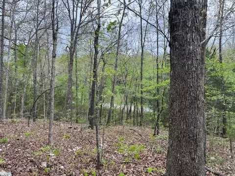 tbd Wirth Rd, Mammoth Spring, AR 72554 photo 7
