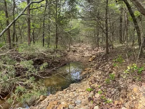 tbd Wirth Rd, Mammoth Spring, AR 72554 photo 4