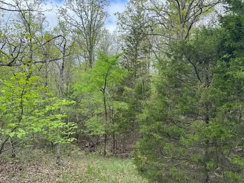 tbd Wirth Rd, Mammoth Spring, AR 72554 photo 10