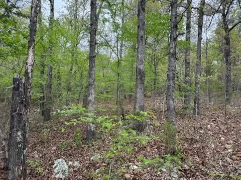 tbd Wirth Rd, Mammoth Spring, AR 72554 photo 11