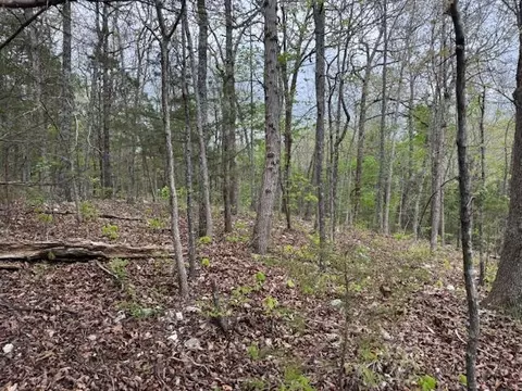 tbd Wirth Rd, Mammoth Spring, AR 72554 photo 6