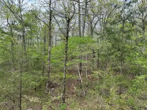 tbd Wirth Rd, Mammoth Spring, AR 72554 photo 16