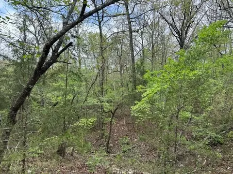 tbd Wirth Rd, Mammoth Spring, AR 72554 photo 9