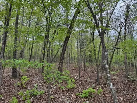 tbd Wirth Rd, Mammoth Spring, AR 72554 photo 5