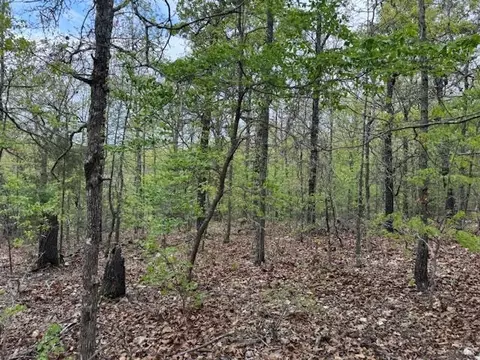 tbd Wirth Rd, Mammoth Spring, AR 72554 photo 12