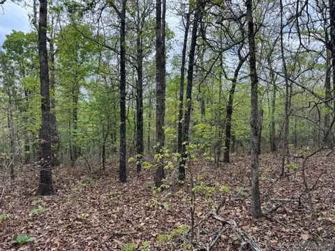 tbd Wirth Rd, Mammoth Spring, AR 72554