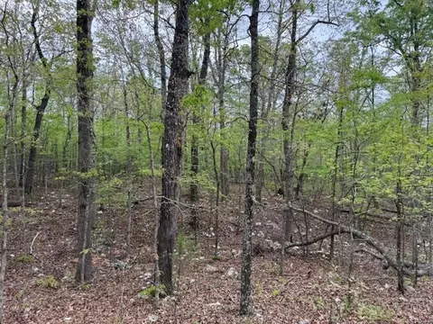 tbd Wirth Rd, Mammoth Spring, AR 72554 photo 8