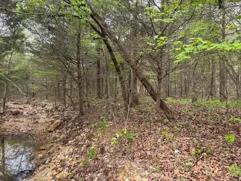 tbd Wirth Rd, Mammoth Spring, AR 72554 photo 13