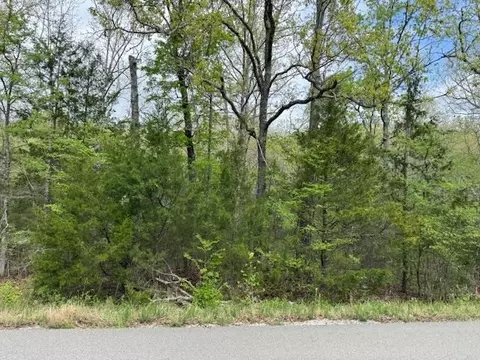 tbd Wirth Rd, Mammoth Spring, AR 72554 photo 18