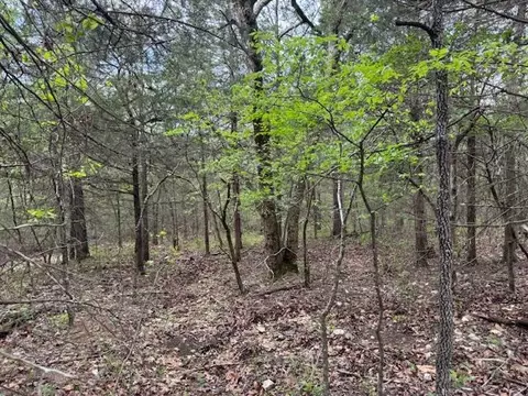 tbd Wirth Rd, Mammoth Spring, AR 72554 photo 14