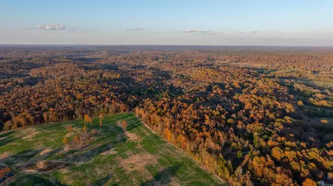 595 Needmore Rd, Evening Shade, AR 72577 photo 6