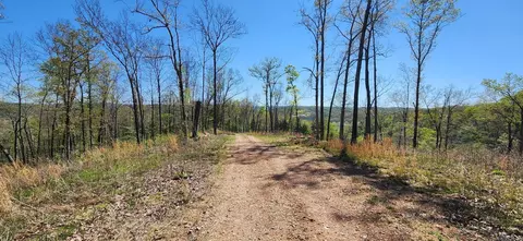 0 Grandpa Jones Rd, Mountain View, AR 72560