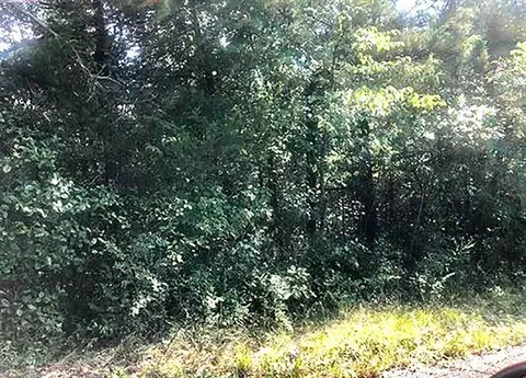 tbd Enid Dr, Cherokee Village, AR 72529
