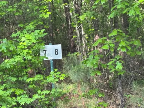 lot7 Chalet Sydney J Subdivision, Camden, AR 71701 photo 5