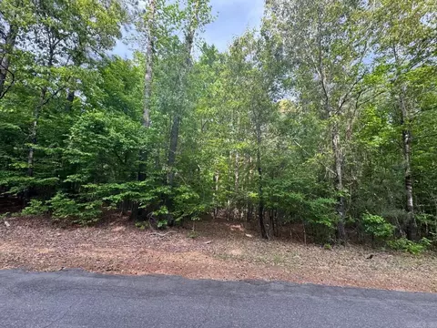 lot7 Chalet Sydney J Subdivision, Camden, AR 71701 photo 4