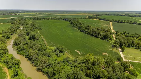166 41 Acres, Marked Tree, AR 72365 photo 16