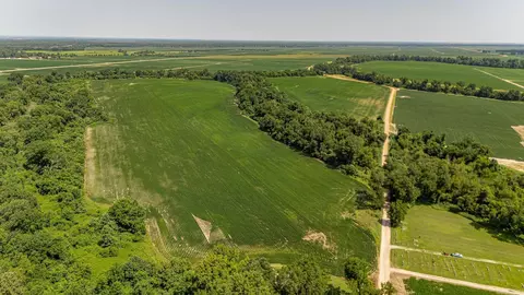 166 41 Acres, Marked Tree, AR 72365 photo 12