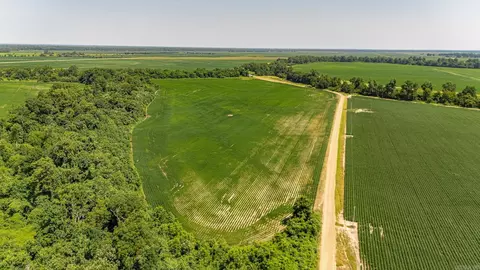 166 41 Acres, Marked Tree, AR 72365 photo 13