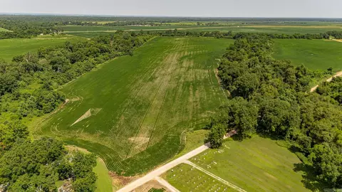 166 41 Acres, Marked Tree, AR 72365 photo 5